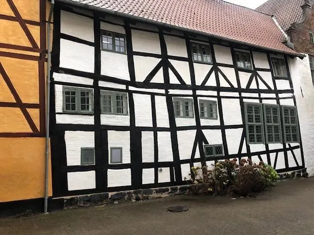 Lägenhet Stemningsfuld Lejlighed - 3 Minutters Gang Fra H.c. Andersens Hus Odense